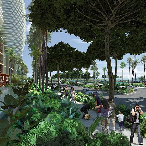 The transformation of @WardCenters into an urban master-planned community will capture the rich history of the area and pay respect to the environment and culture.