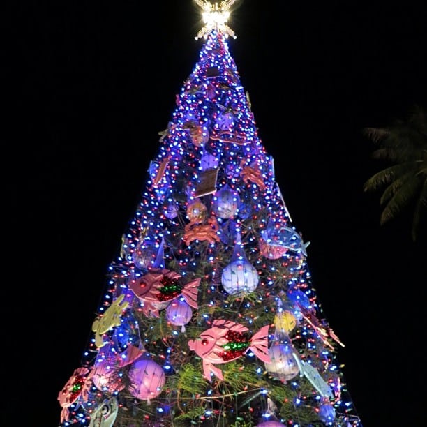 Make your holiday season bright with a spin on the Honolulu City Lights Trolley Tour tonight! #happyholidays