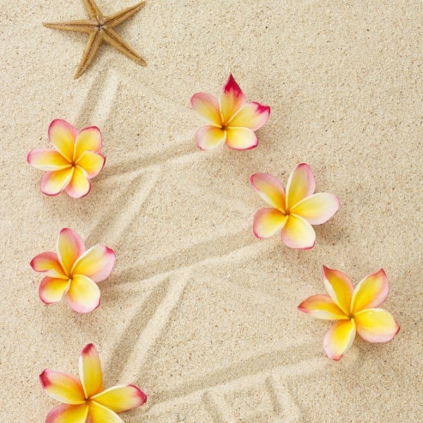 #MerryChristmas and #HappyHolidays from Ward Village! #melekalikimaka PC: Discover Hawaii