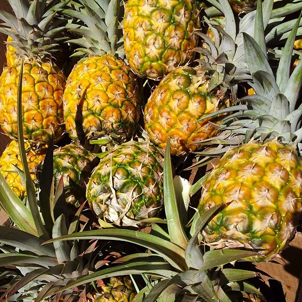 Ward Village loves #AlohaFriday! Share your favorite #AlohaFriday posts with us by using the hashtag #WardVillageAloha