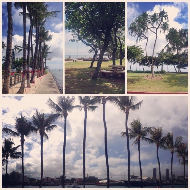 Last week, we were working on giving some trees from #WardVillage a new home at Kewalo Basin Harbor. We’re happy to report the trees have been relocated and are giving the harbor some new life!
