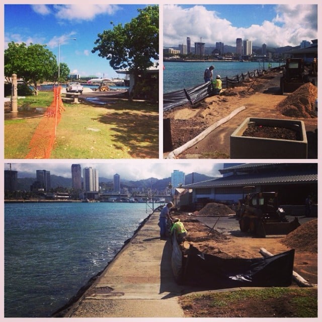 We’re giving 13 coconut trees and one hala tree a new home at Kewalo Basin Harbor! Here’s a look at the work in progress.