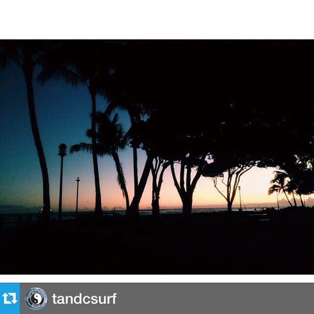 We’re lucky to be a part of revitalizing Kewalo Basin Harbor. Mahalo to @tandcsurf for capturing this awesome shot of Kewalos.
