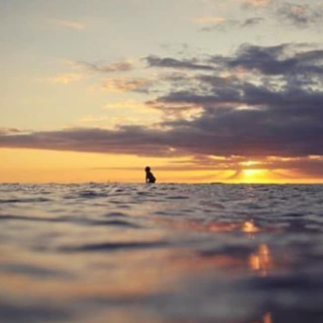 Happy Thanksgiving! Here’s where we plan to be. Read more about our favorite South Shore swells and enjoy being with your family and friends: wardvillage.com/news-lifestyle #luckywelivehawaii #wardvillage