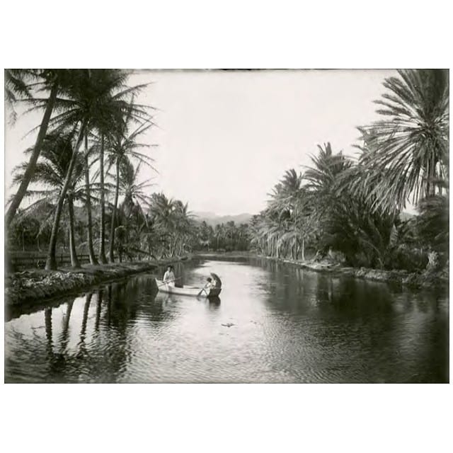 #FlashBackFriday to Kakaʻako as it once was. We cannot wait to restore this ʻauwai! Stay tuned… #WeAreWard
