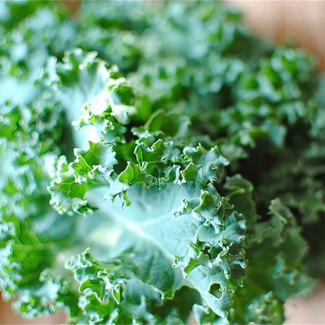 TOMORROW at 5:30pm // YOGA by @CorePowerYoga + KALE SMOOTIES by @JambaHawaii // We. Can’t. Even. #weareward #cpyward