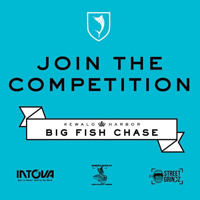 Ready to catch the big fish? Join us for the Big Fish Chase on June 6th at @kewaloharborhi. Guaranteed purse is $10k. Register at konatournaments.com. by May 30th and enter for the chance to win your entry fee back! Register at #weareward