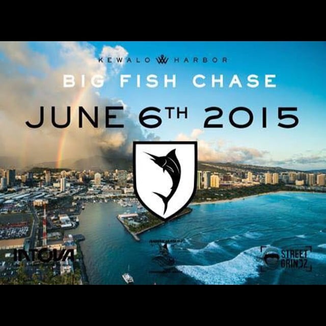 The last boat in our Kewalo Harbor Big Fish Chase is on its way back to shore! We just got word that after a 16-hour fight overnight, the boat reeled in a marlin around 800 pounds. Stop by the harbor if you’re in town to join us as we welcome the winning team back to shore! #weareward