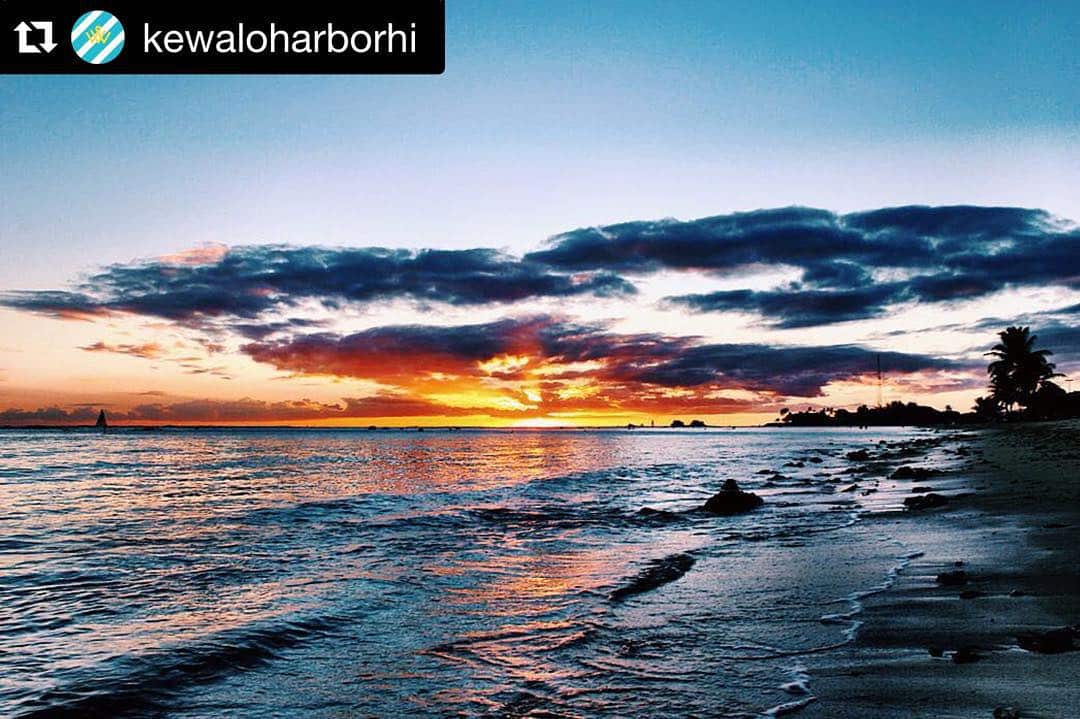 #HappyAlohaFriday! Here’s to a fun & safe weekend. #WeAreWard #WardVillage #Repost @kewaloharborhi
