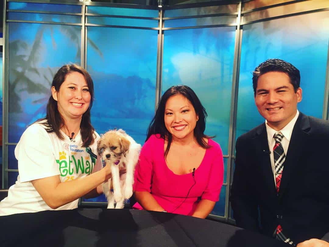Our lovely Alison advocating for @hawaiianhumane’s PetWalk this Sunday on @kitv4. Look at that pup!  #WeAreWard #WardVillage @mcherry808