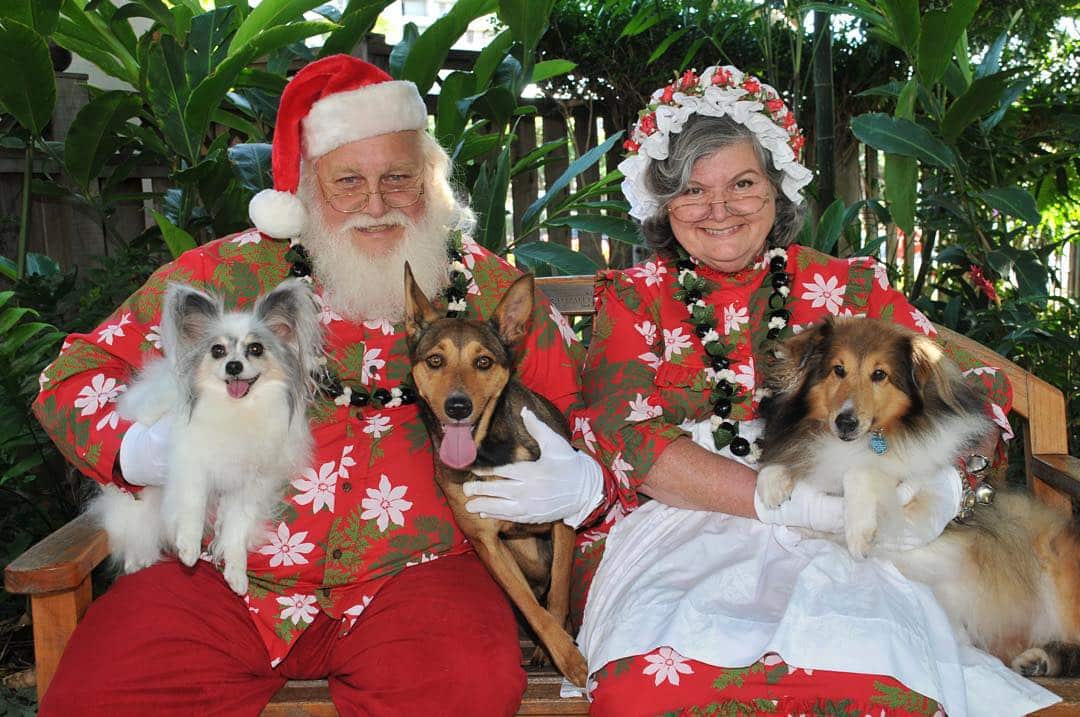 Furry friends are family too!  Get your pet photos taken at Santa’s Beach House this weekend at the Ward Entertainment Center, Box Office Level. Proceeds benefit the @hawaiianhumane society. #WeAreWard #WardVillage #SantaPaws #Christmas2015 #WardWinterVillage