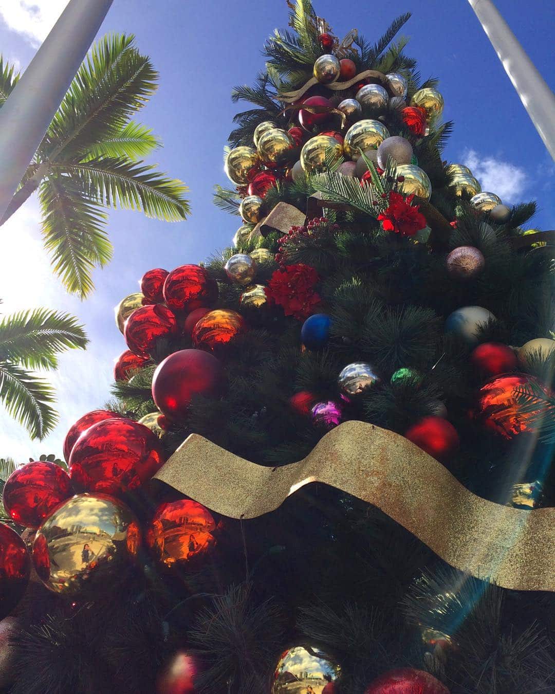 It’s beginning to look a lot like Christmas… Our favorite time of year! 🏽☃️ #WeAreWard #WardVillage #ChristmasTree PS: Check out the holiday decor when you come down to Kona Nui Nights on 11/11 at 6p.