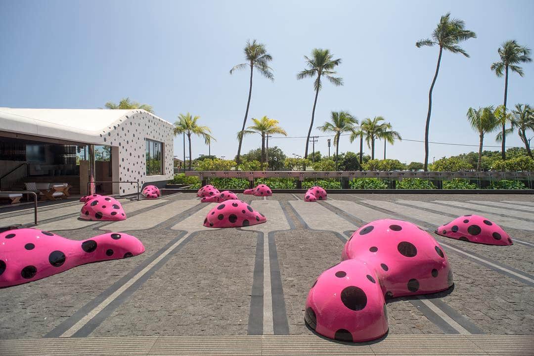 Footprints of Life is here & will be open to the public beginning tomorrow at 10:00a! @honolulubiennial #WeAreWard #WardVillage #KusamaAtWard #AlohaKusama #YayoiKusama PC: Andrew Feducia