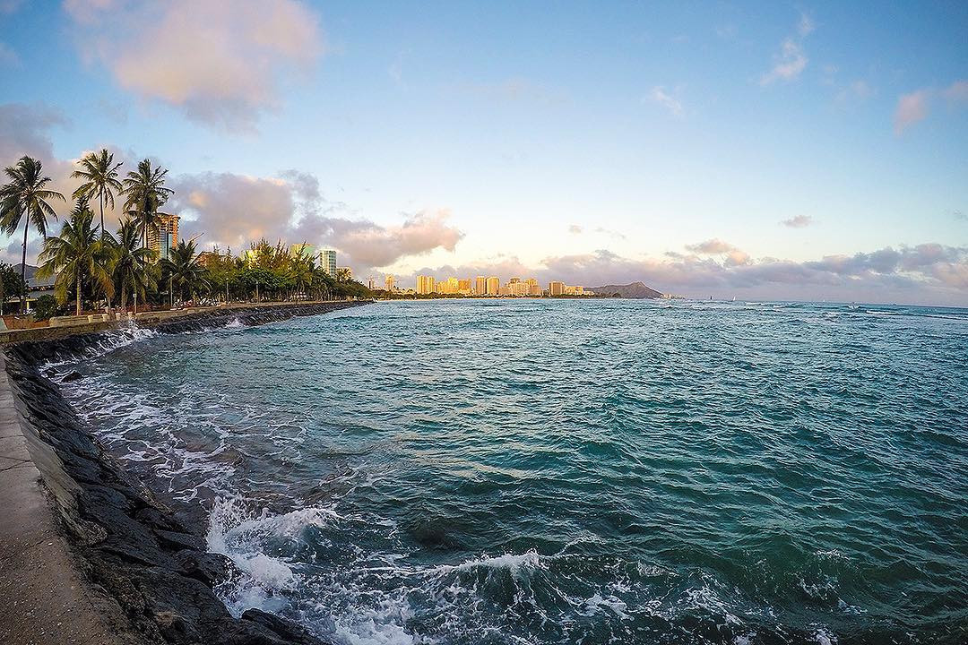 Did you know researchers have proven that people who utilize public parks are happier? Learn more on the blog, link in bio. #weareward #wardvillage #kakaako #kewalos #oahu #honolulu #hawaii #park