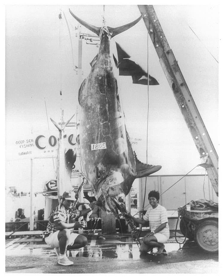 #TBT to when Captain Cornelius Choy hooked this monster Marlin on rod & reel! Learn more on the blog, link in bio! Photo courtesy of Shannon H. Edie. Plus, don’t forget, Big Fish Chase is happening on 6/11. #weareward #wardvillage #marlin #kakaako #fishing #hanapaa #kewalos