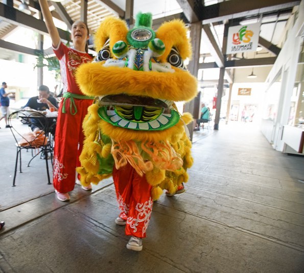 We’re celebrating the Chinese New Year this Sunday, 1/22, at Ward Warehouse! Learn more about this tradition on the blog, link in bio! #WeAreWard