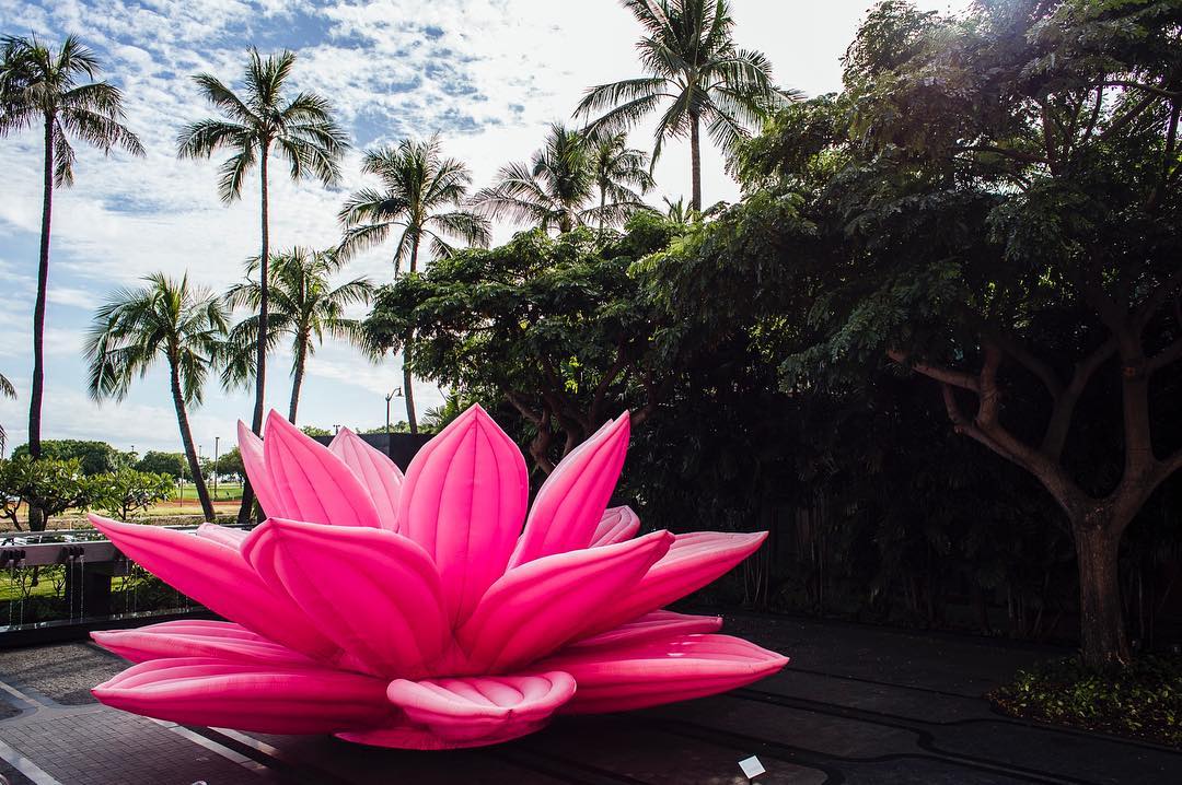 It’s opening week for the @honolulubiennial! Lots of fun to be had at the opening week events, check out the list of events through the link in our bio! #WeAreWard | Choi Jeong Hwa, Breathing Flower, Korea located in the Ward Village Courtyard. | wardvillage.com/honolulubiennial2017