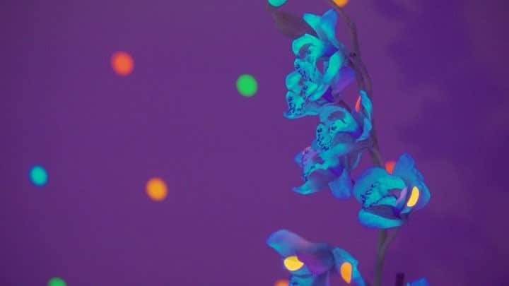 Step foot into Yayoi Kusama’s I’m Here, but Nothing art installation to be transported to another world. Open daily except Wednesday, 10a – 5p at the IBM Building. #WeAreWard