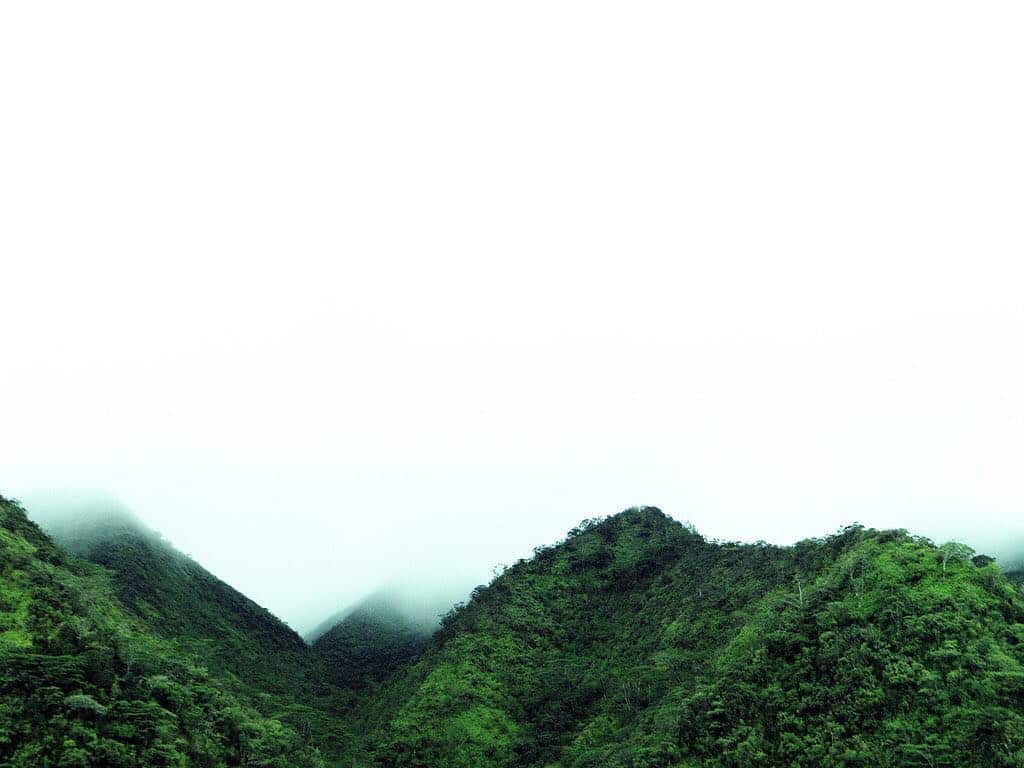 Looking for a hike not far from home? Check out 3 of our suggestions for Honolulu hikes on the blog. #WeAreWard