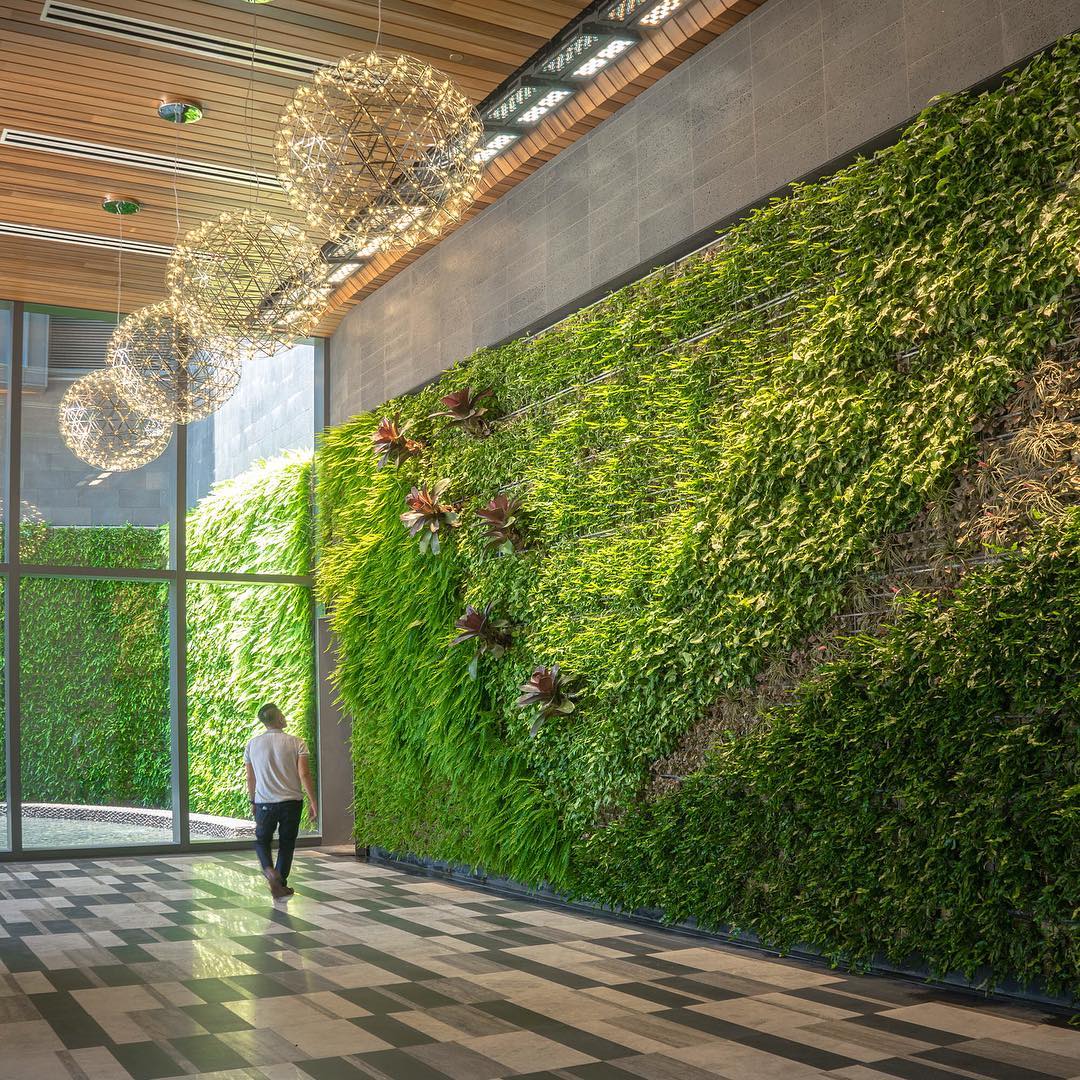 Did you know Hawaii’s largest living wall is at Anaha? Made of 8,000