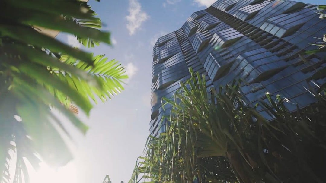 “Our living wall is our canvas, our plants are our paint brushes.”—Greg Lee, designer of Anaha’s living wall. Read the full interview on our blog; link in bio. #weareward #anaha