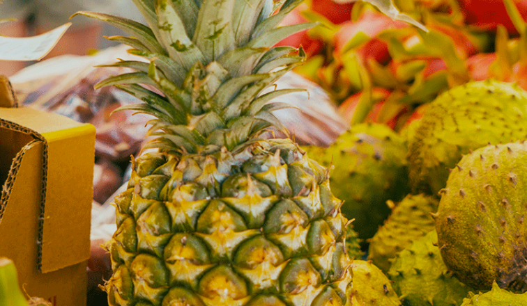 Kaka‘ako Farmers Market at Ward Village