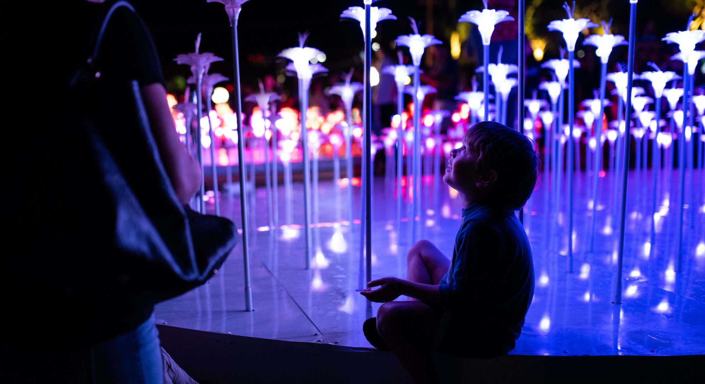 Light Garden outdoor floral exhibit