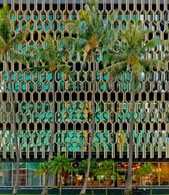 Trees in front of a building
