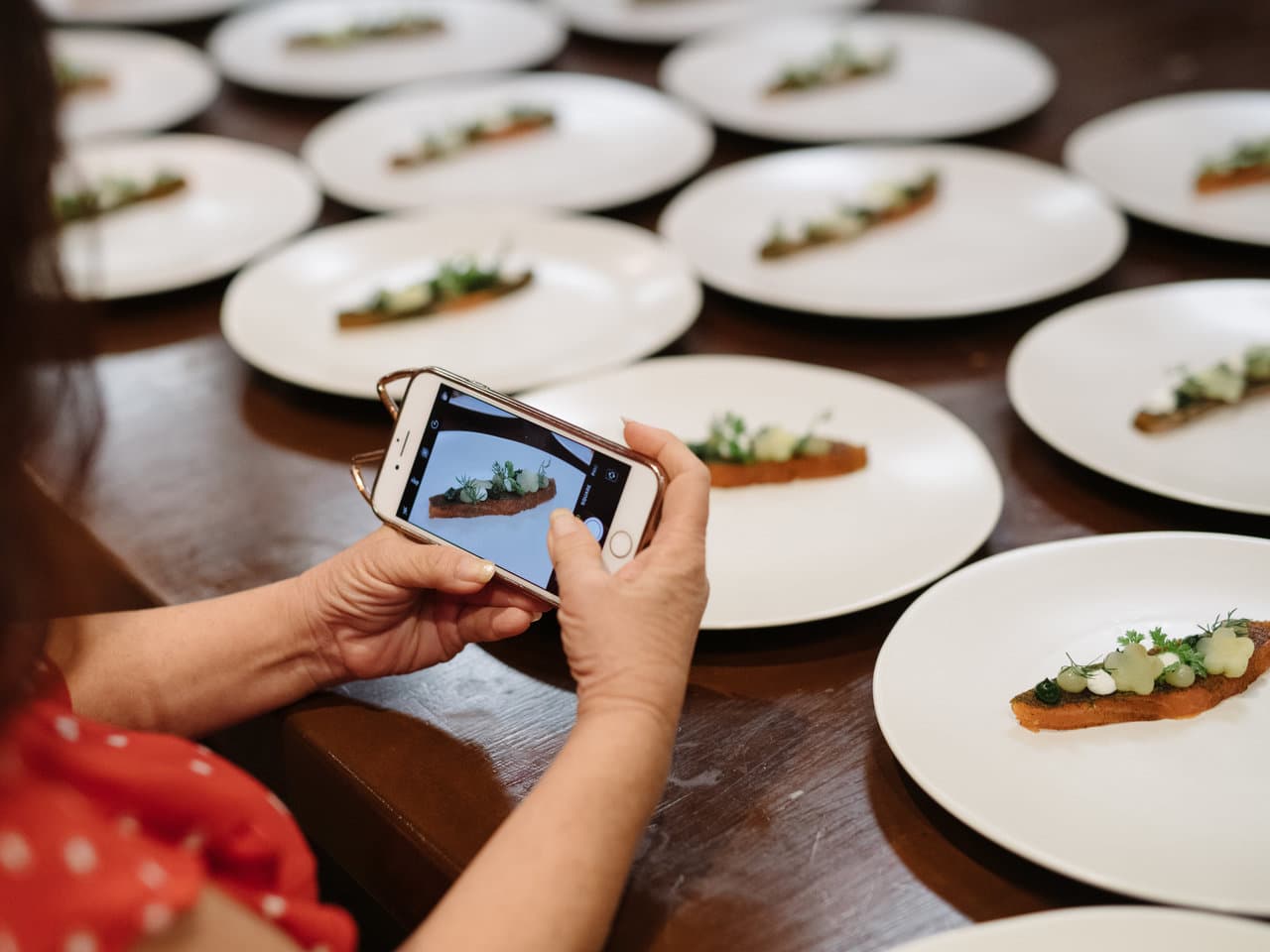 New Zealand Salmon, Apple, Yogurt, Kale by Chef Matt Lambert