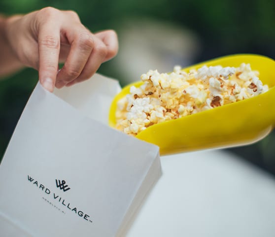 Cinema in the Park