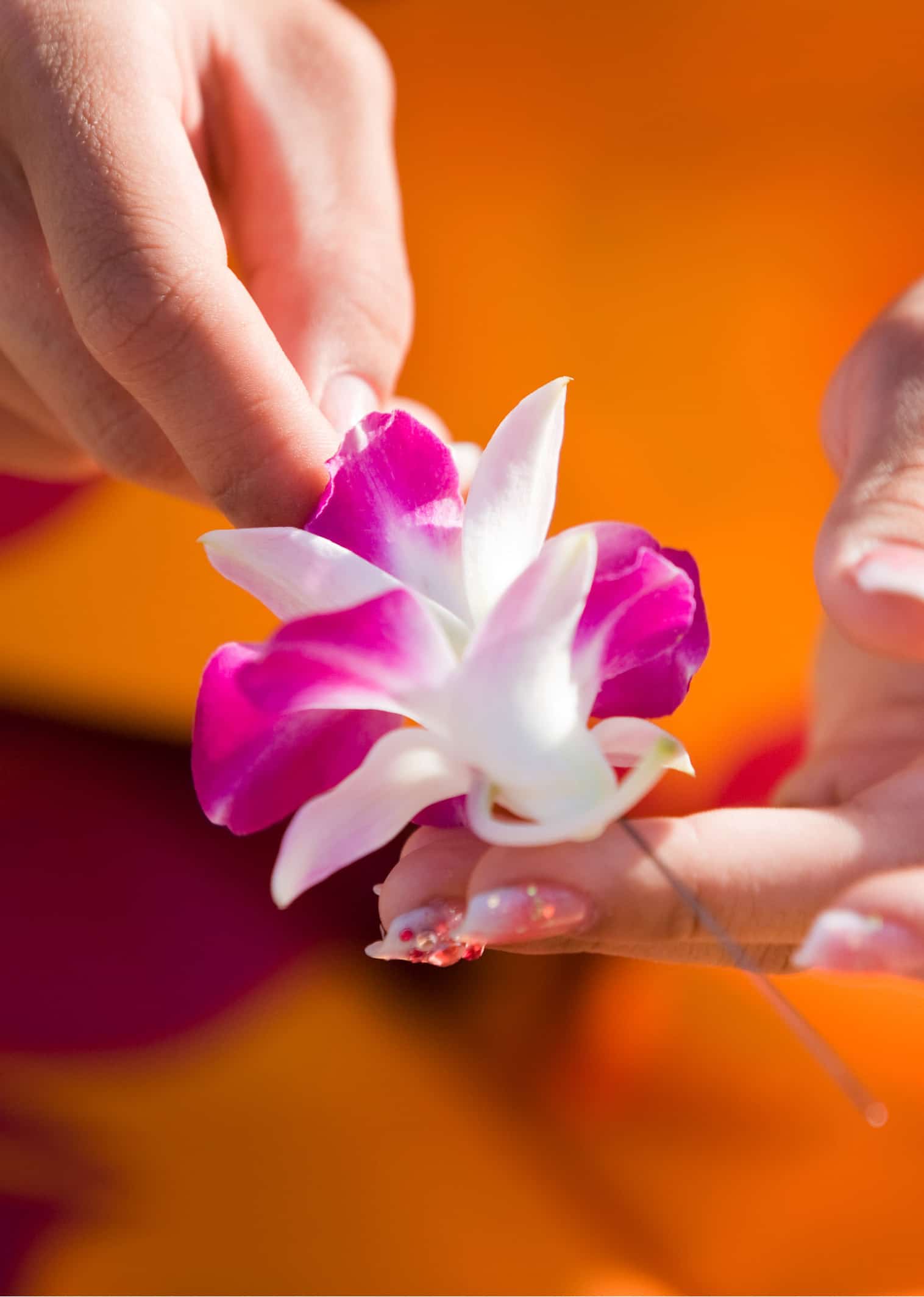 Welcome to May Day in Hawai‘i Nei