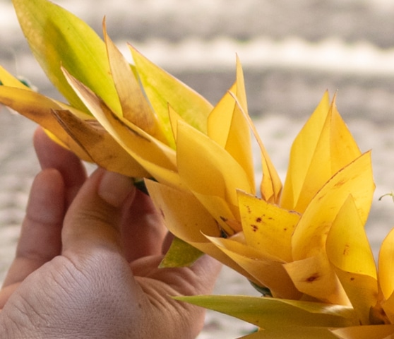 Lei Poʻo Workshop