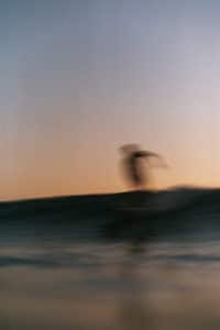 Surfer Sunset