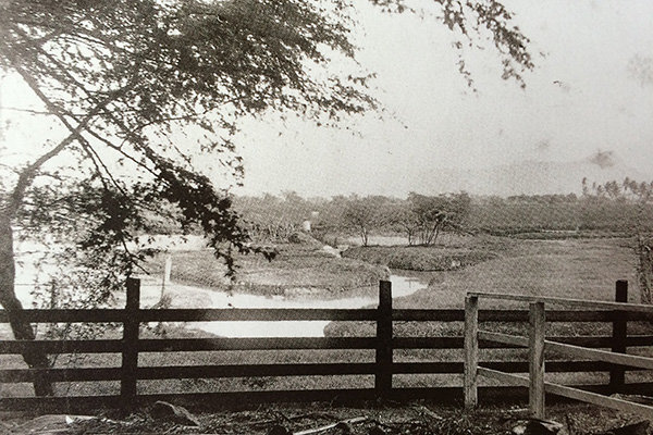 Archive picture of Ward Estate