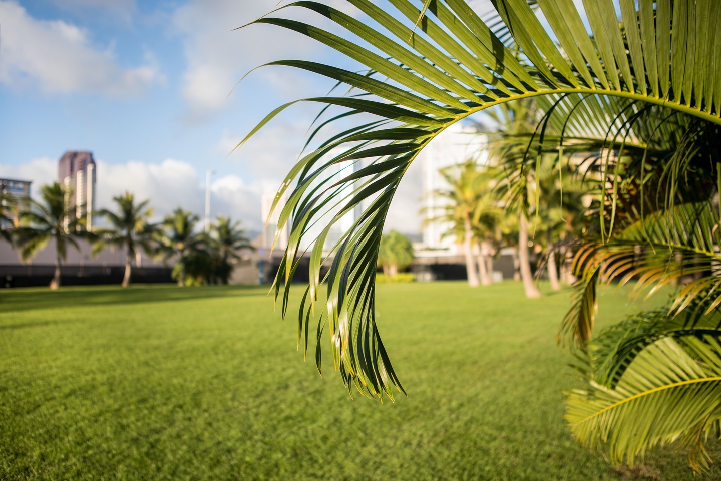 A place to connect with nature and breathe in the beauty of the neighborhood. We love Victoria Ward Park for enjoying the day with your family or loved ones.