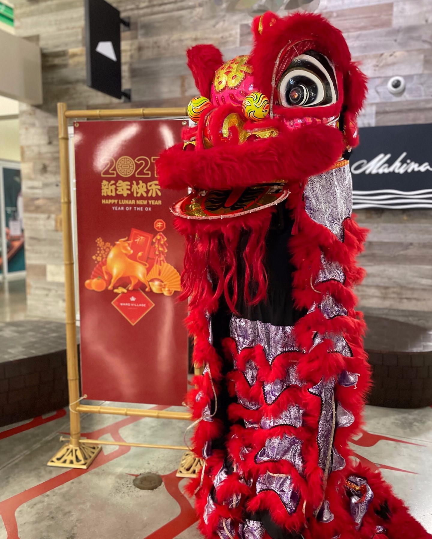 Meant to bring in good luck and chase away evil spirits for the new year, these lucky lions are here to help you ring in the Year of the Ox at South Shore Market and Ward Centre! Swing by to take a photo with them and do some Lunar New Year shopping. Retailers will be handing out a limited supply of red envelopes with messages of good fortune and eight lucky customers will receive a golden ticket redeemable for a $100 Ward Village gift card. Happy Lunar New Year!