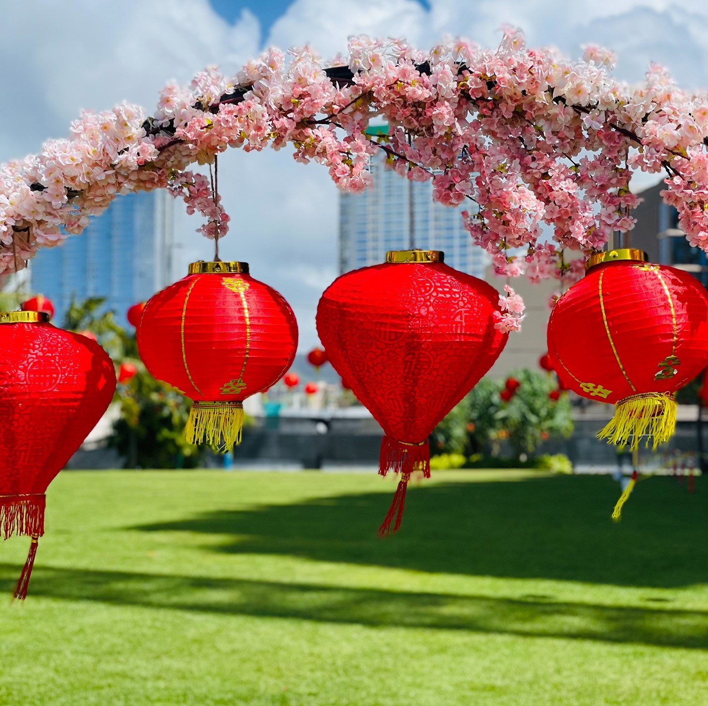 Over 200 lanterns are on display at Victoria Ward Park today until 6PM. Check out the Kaka’ako Farmers Market and stop by the park to celebrate Lunar New Year.