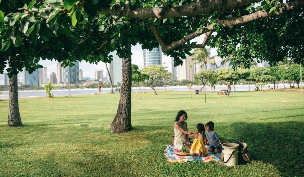 People sitting under a tree and having picnic