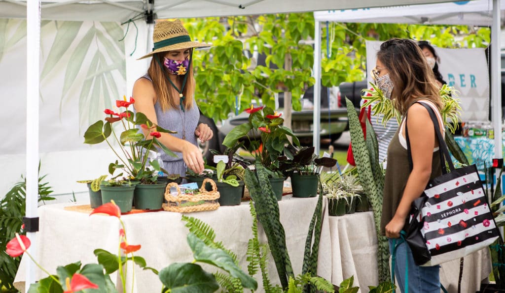 Woman shopping for plants