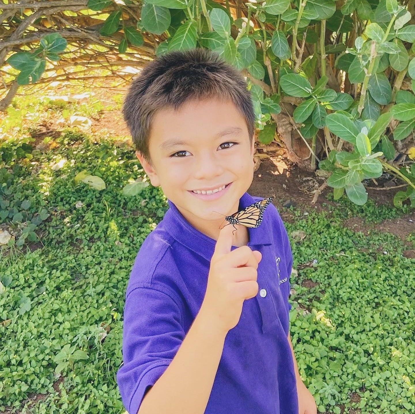 Come explore the remarkable life of monarch butterflies and learn about conservation efforts in a special event at Victoria Ward Park on April 3 from 1pm to 4pm. Search for butterflies and caterpillars, chat with experts, take a photo with giant butterfly wings and find butterfly themed @oahukindnessrocks hidden throughout the garden! Giveaways for the keiki include butterfly garden adornments and whimsical wind up paper butterflies (while supplies last). Join us for additional surprises throughout the afternoon.