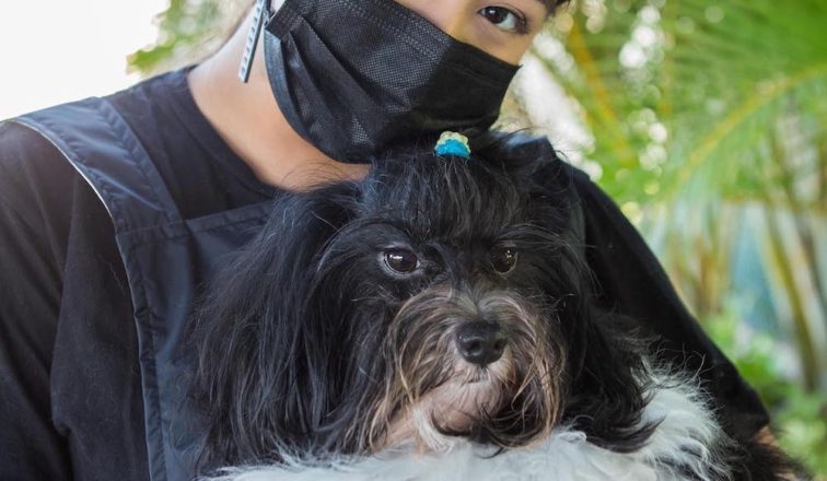 Johnny’s Dog Spa Hawaii