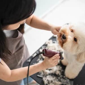 Johnny’s Dog Spa Hawaii