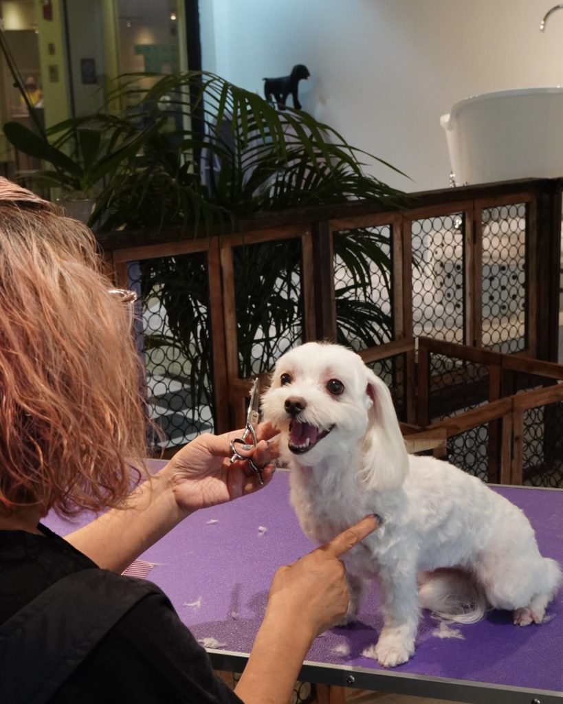 Johnny’s Dog Spa Hawaii