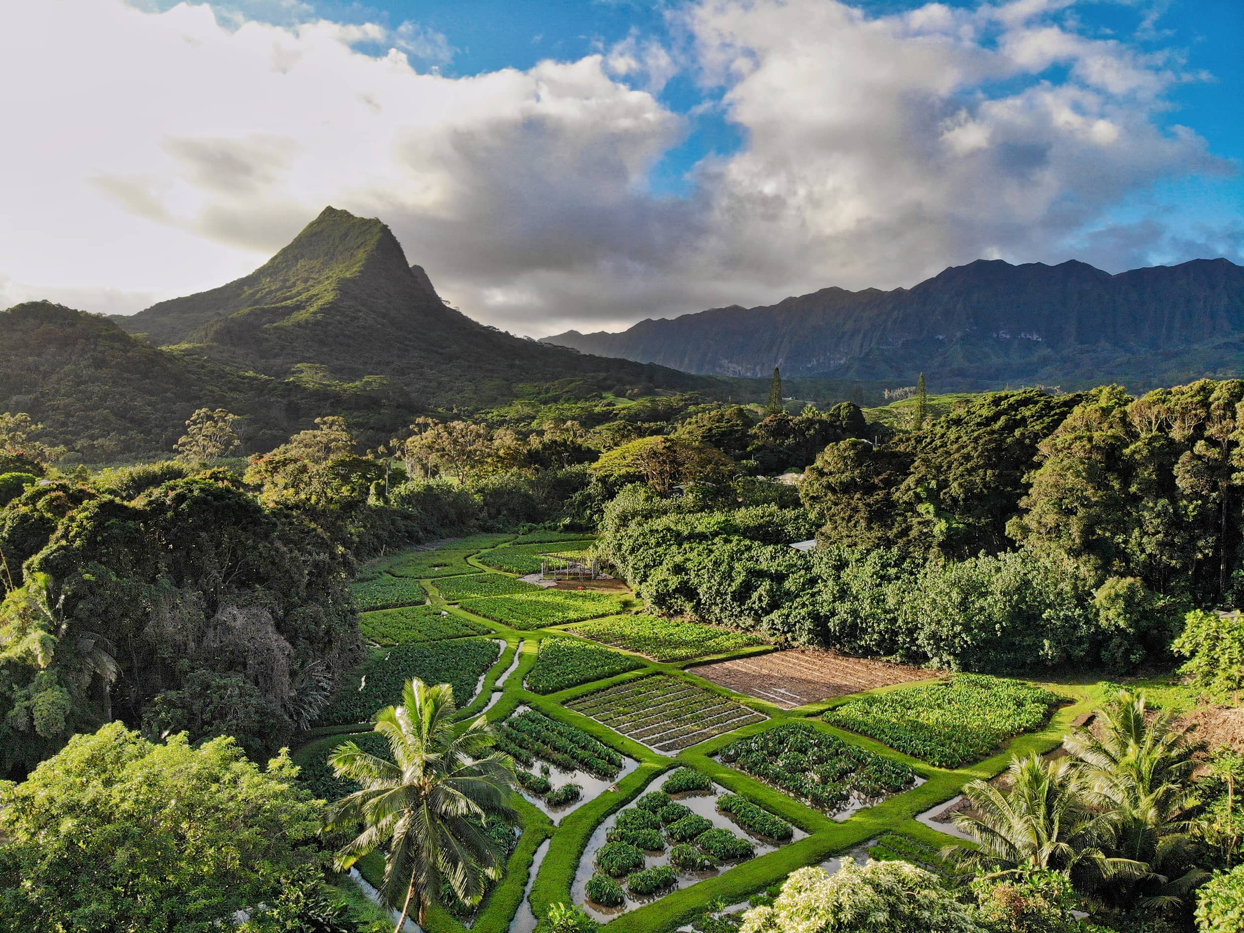 Hoʻokuaʻāina