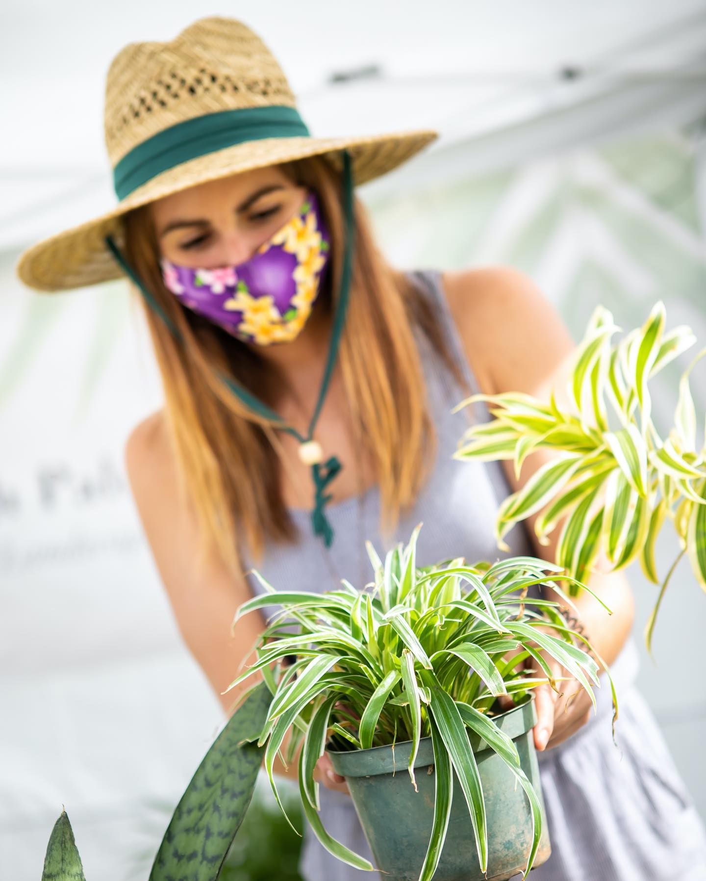 See what all the buzz is about and explore over 100 vendors at the Kaka'ako Farmers Market in Ward Village. This expanding marketplace has become a melting pot of local eateries, artisans and farmers alike.