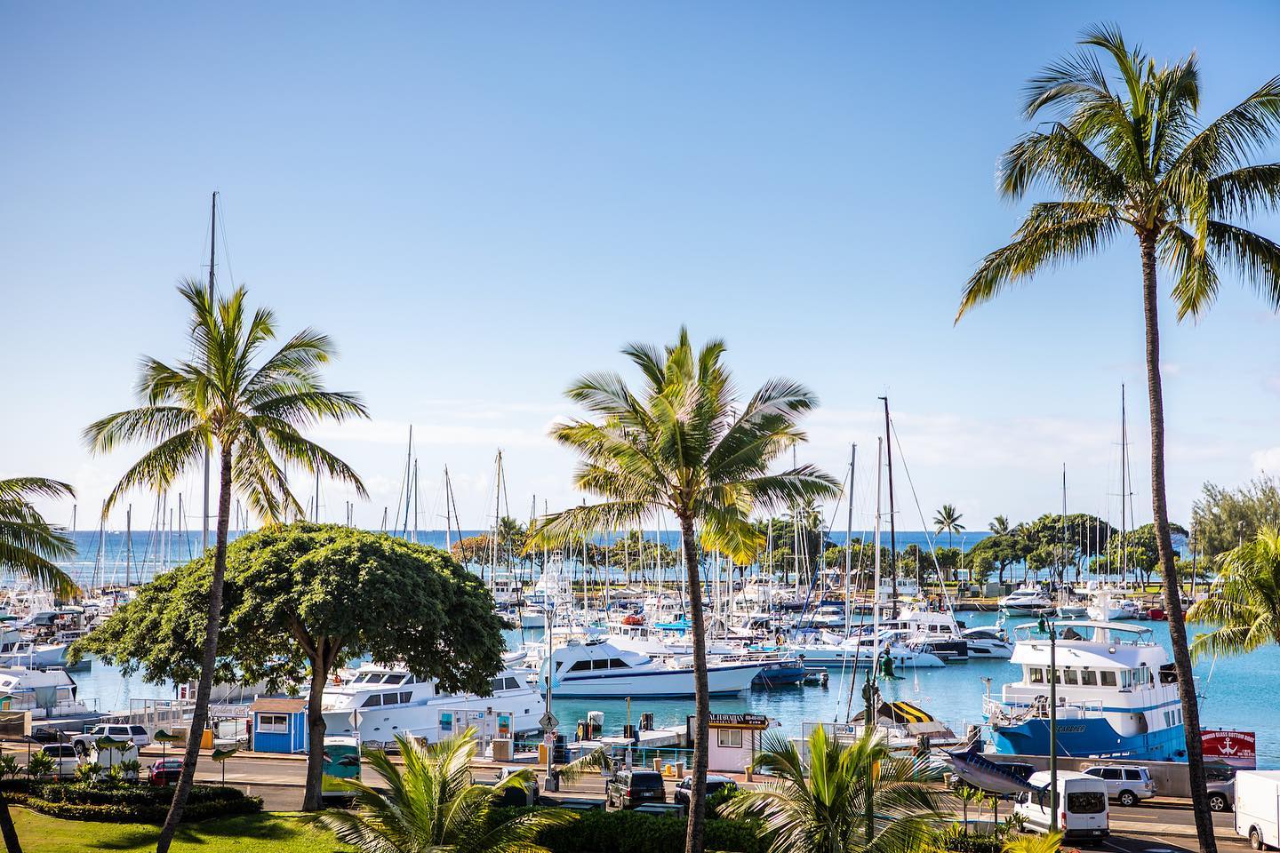 The 30-acre Kewalo Harbor is an oceanfront destination and urban fishing village that houses a mix of personal, commercial and charter vessels. Offering adventures in sailing, snorkeling, scuba diving, fishing and more, the harbor truly connects Ward Village from mauka to makai.
