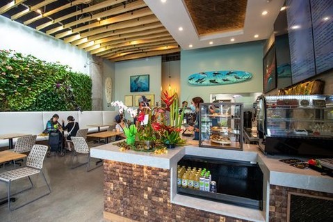 Have you seen the 18′ long living wall of native Hawaiian plants at Island Brew Coffeehouse? It’s definitely worth a visit next time you need a caffeine kick.