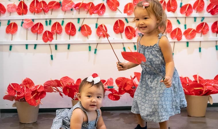 Valentine’s Floral Wall