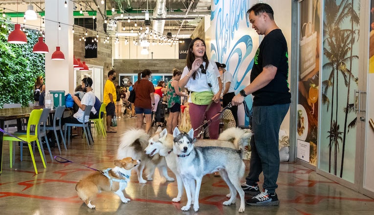 Aloha Pet & Family Fair