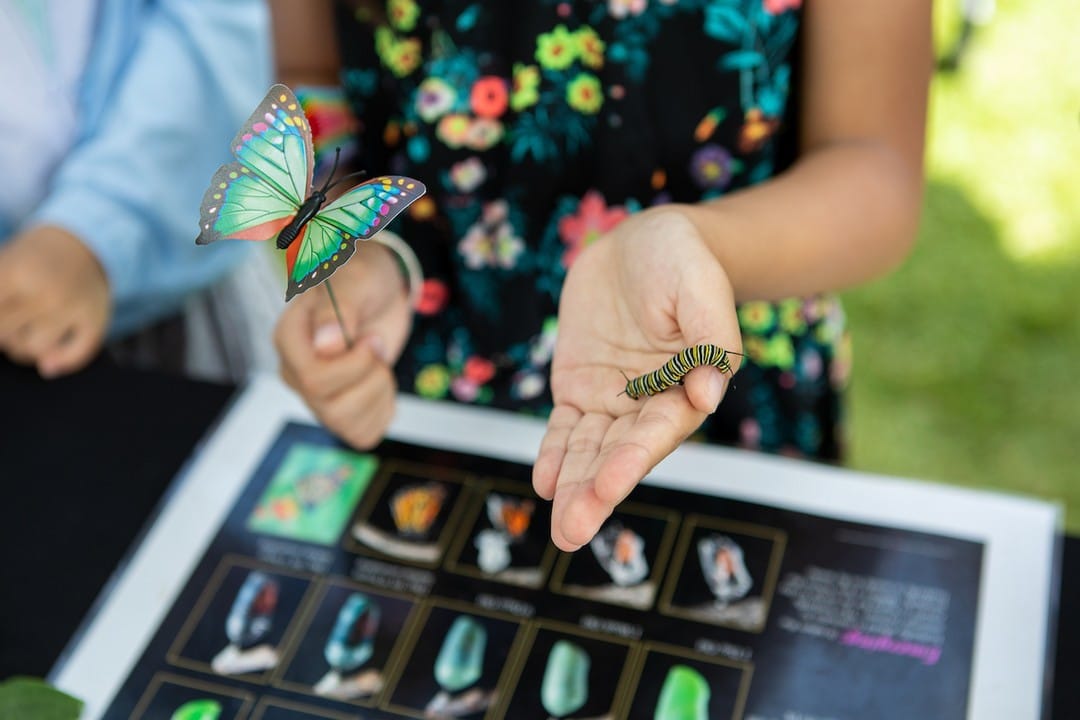 Join us from 1-3 pm on Sunday, March 20, to celebrate the first day of spring with our interactive butterfly experience at South Shore Market! Take a photo at our spring floral wall, meet a caterpillar, or participate in a butterfly release, while supplies last. Click our link in bio for more details!